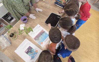 Erasmus+ aktivnosti: radionica o održivom vrtlarenju u vrtiću Medenjak