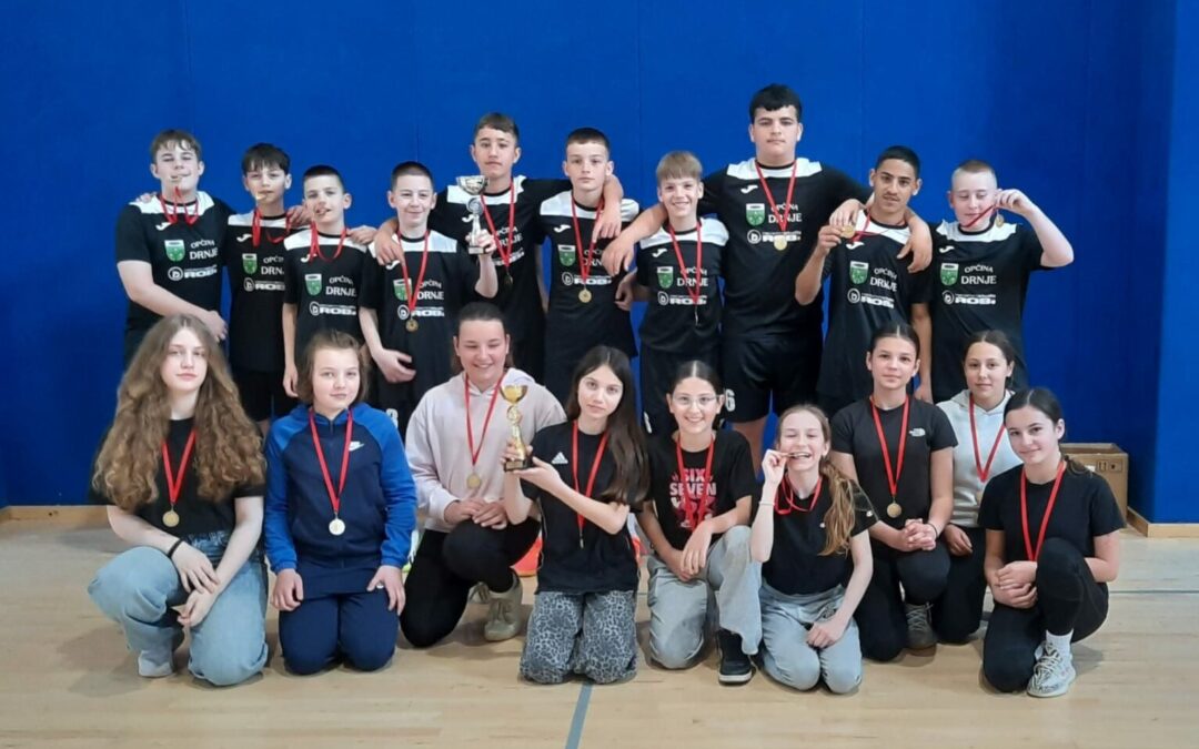 Županijsko natjecanje u odbojci