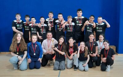 Županijsko natjecanje u odbojci